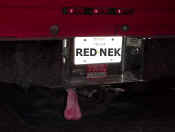 red nek.JPG (80048 bytes)